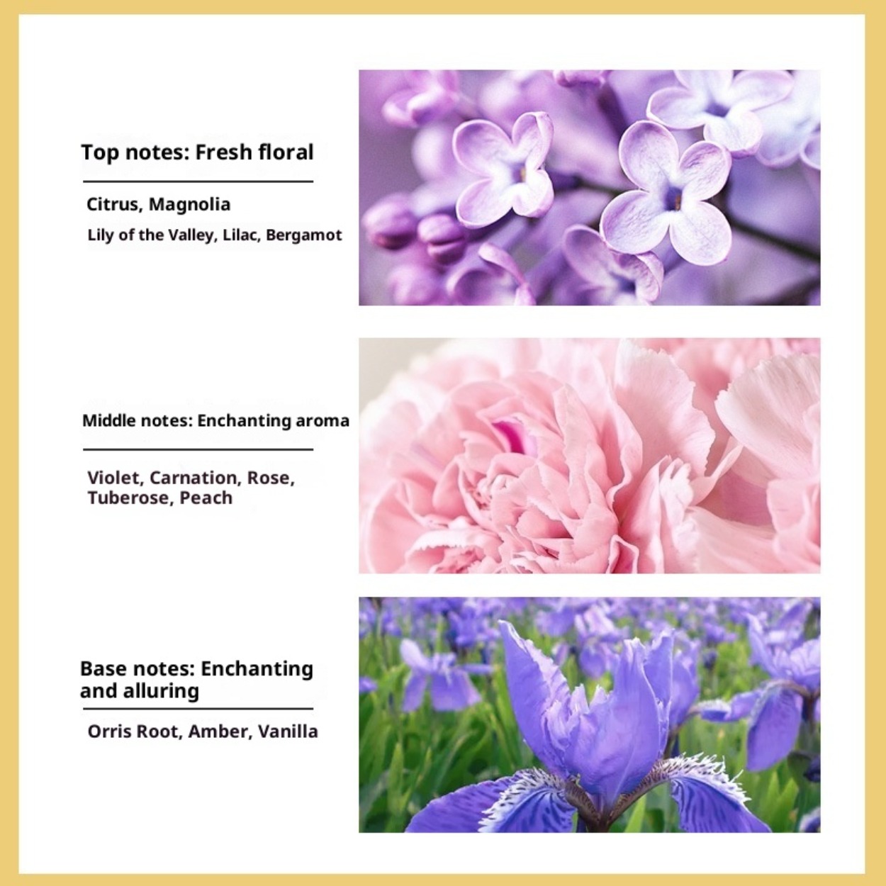 No. 5 Women's Eau de Toilette: - огляд і ціна Perfume Fragrance Brands